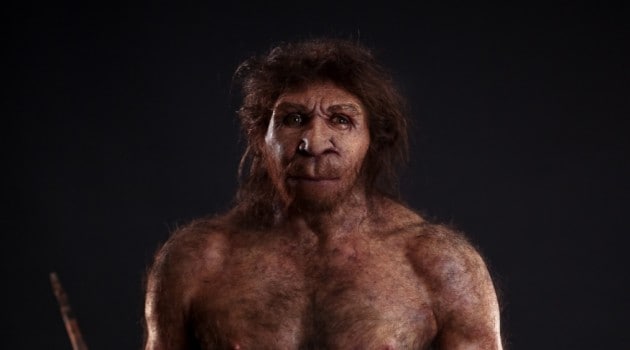 Homo heidelbergensis