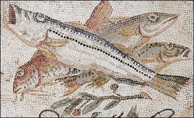 Ancient Roman foods: fish