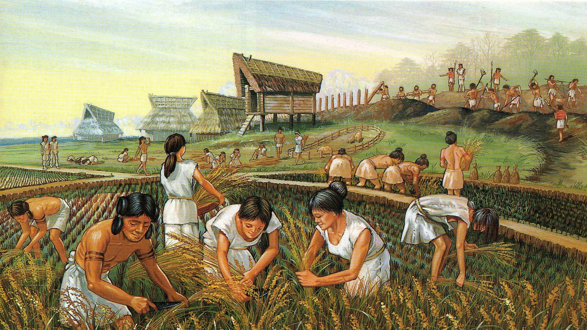 Agriculture, Mesopotamia