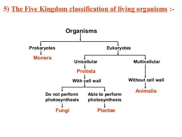 The Four Characteristics Of Aristotles Contribution To The Four Characteristics Of Aristotles Contribution To