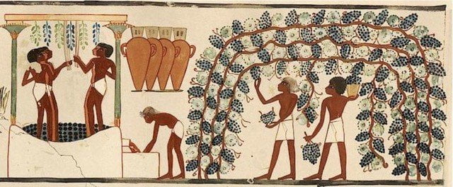 Ancient Egyptian wine