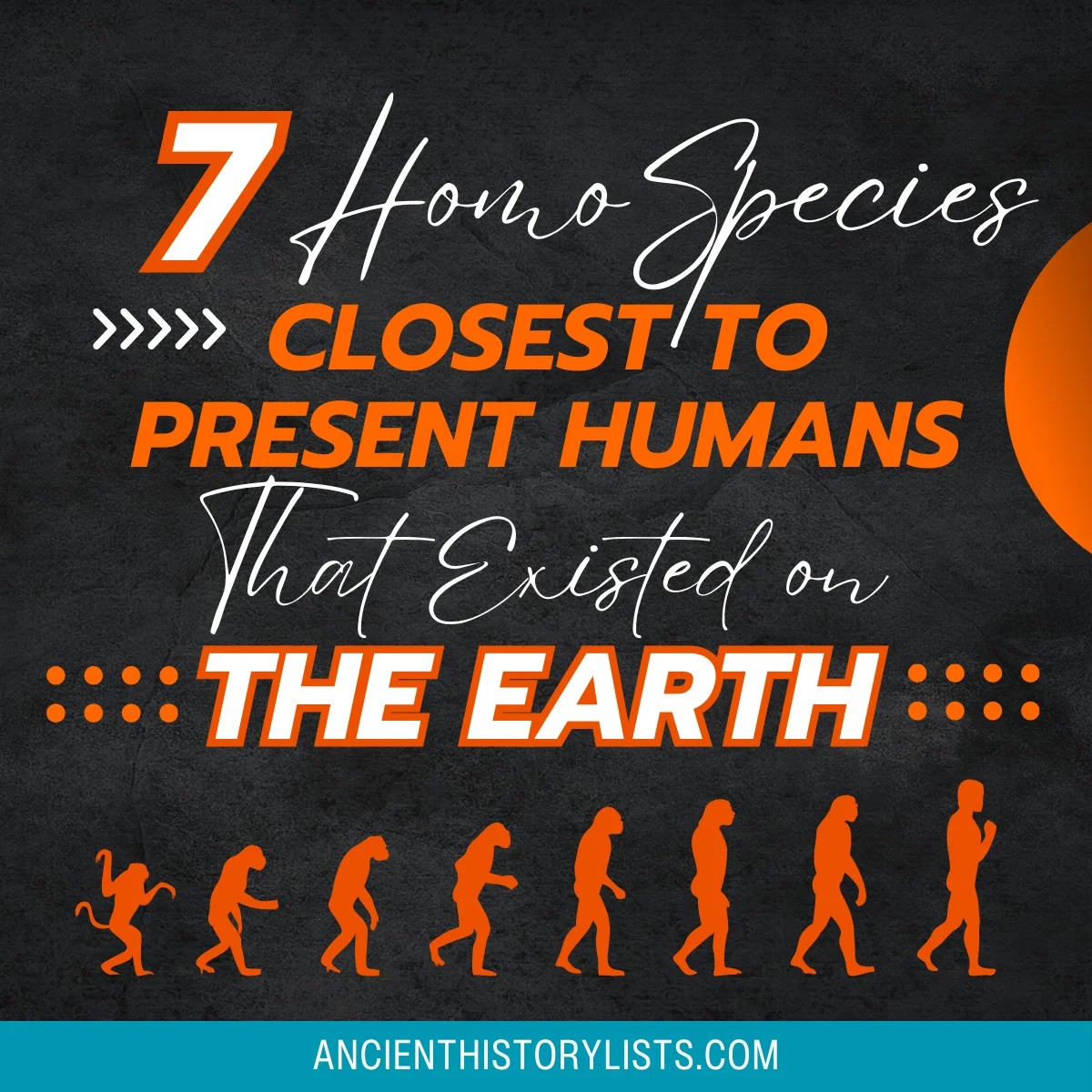 The 7 Homo Species Close to Present Humans That Existed on the Earth