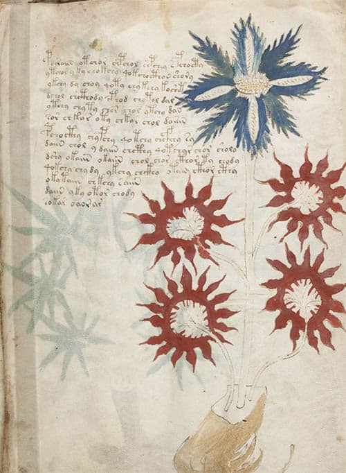 The Voynich Manuscript